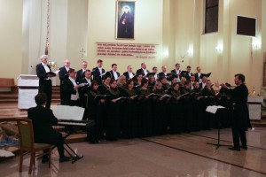 IMG 4519